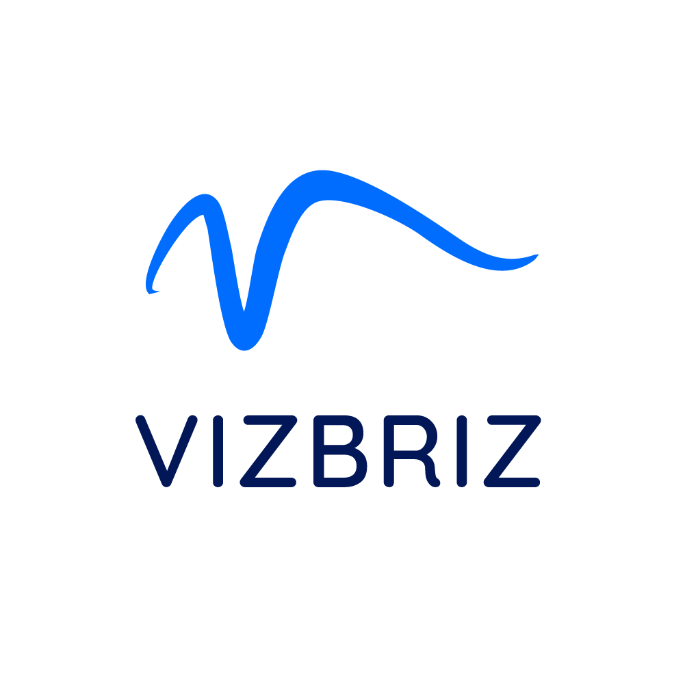 VizBriz Logo